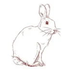 Skaneateles Boutique Hotel